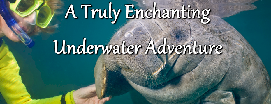 Underwater Adventure