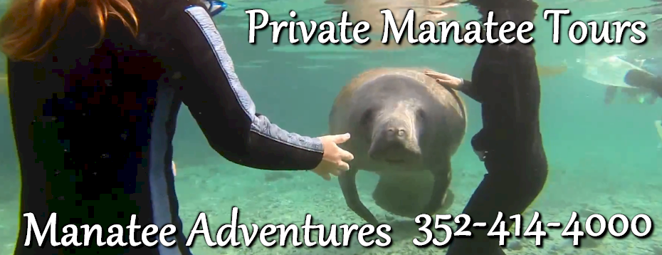 manatee-tours-2