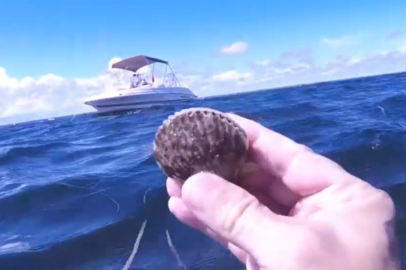Scalloping Boat