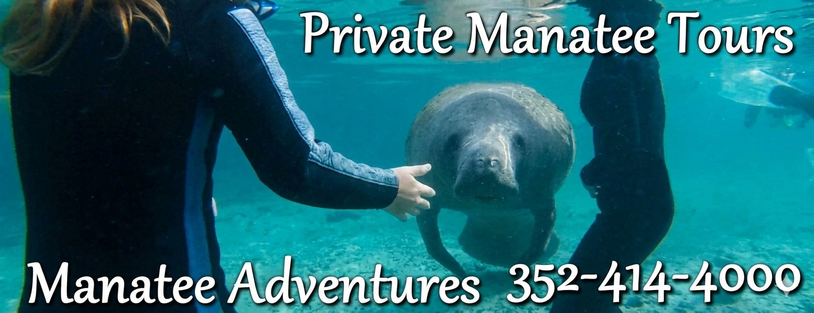 Private Manatee Tours