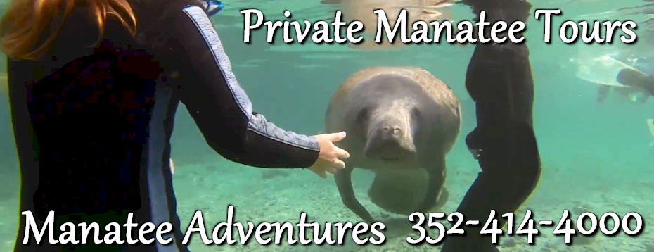 Private Manatee Tours