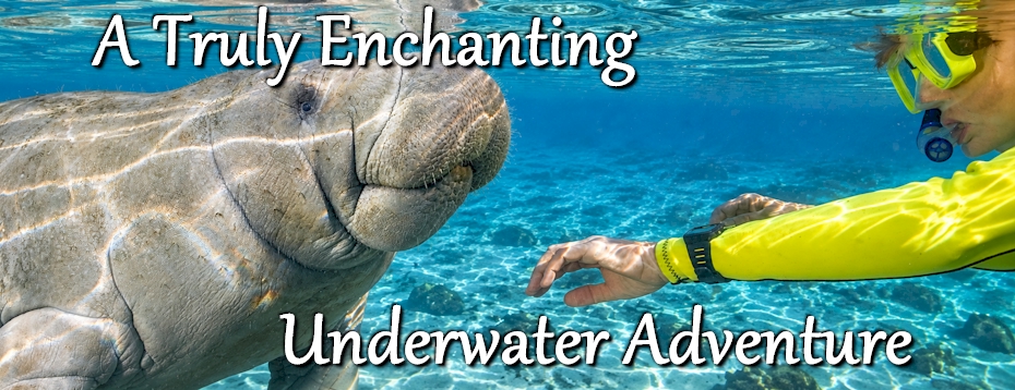 Underwater Adventure