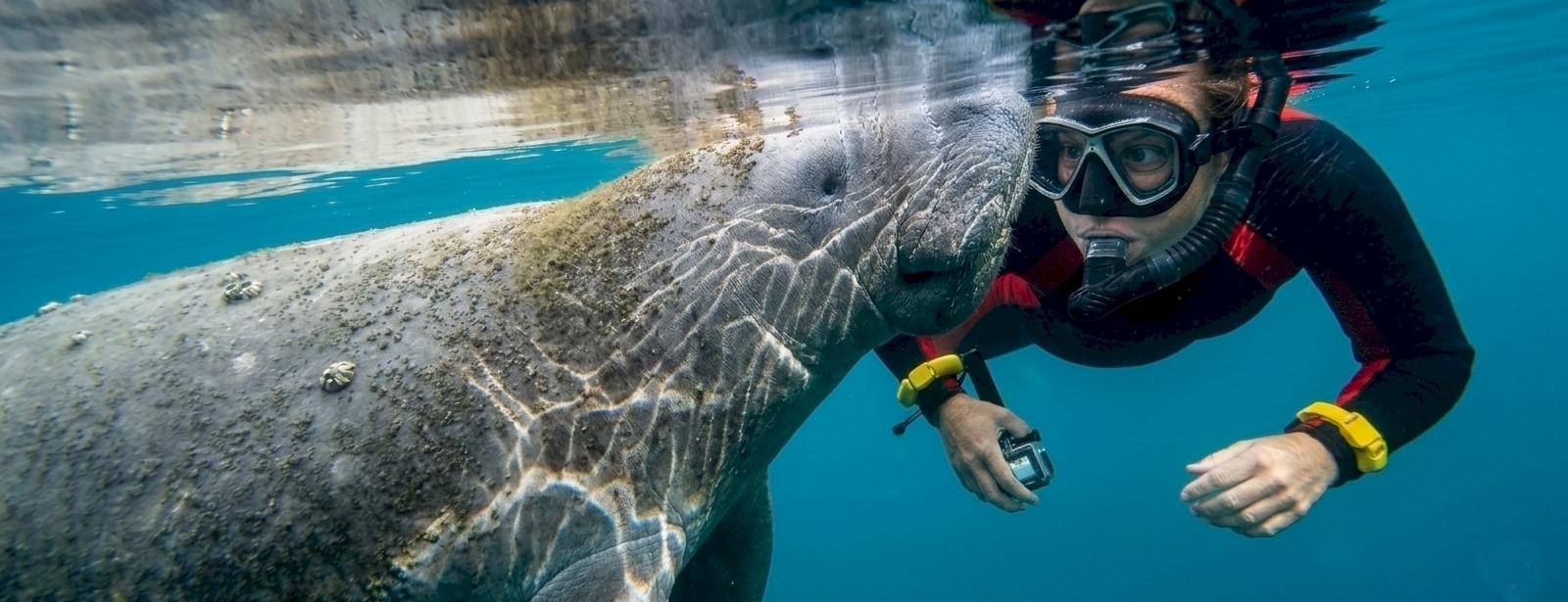 manatee-tours-6